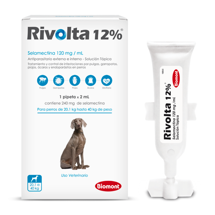 Pipeta Rivolta 12% Caninos de 20.1 a 40kg (celeste)