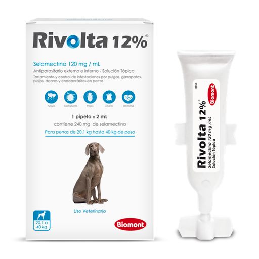 Pipeta Rivolta 12% Caninos de 20.1 a 40kg (celeste)